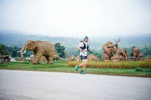 BIB: 
                            <button type="button" onclick="openModal(22401623)" class="btn btn-primary btn-sm float-right btn-popup" data-toggle="modal" data-target=".modal-high-quality">
                        <i class="fas fa-shopping-cart"></i> Add to Cart
                    </button>
                                            <button type="button" onclick="isThisMe(22401623, true)" class="btn btn-success btn-sm float-right btn-popup btn-isme hidden" data-toggle="tooltip" data-placement="bottom" title="นี่คือรูปของคุณใช่ไหม คลิกที่นี่เพื่อเอาเข้าอัลบั้ม">
                        <i class="fas fa-plus"></i> Add to album
                    </button>
                    <button type="button" onclick="isThisMe(22401623, false)" class="btn btn-warning btn-sm float-right btn-popup btn-isnotme hidden">
                        <i class="fas fa-ban"></i> Remove from album
                    </button>